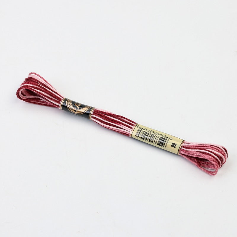 Gradient Variegated Embroidery Floss