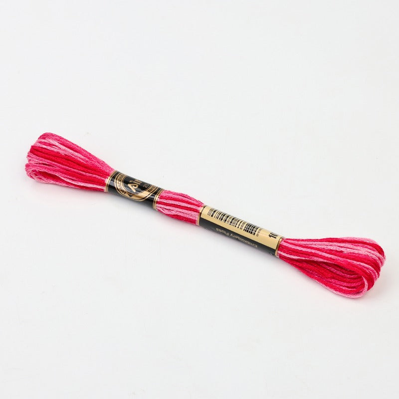 Gradient Variegated Embroidery Floss