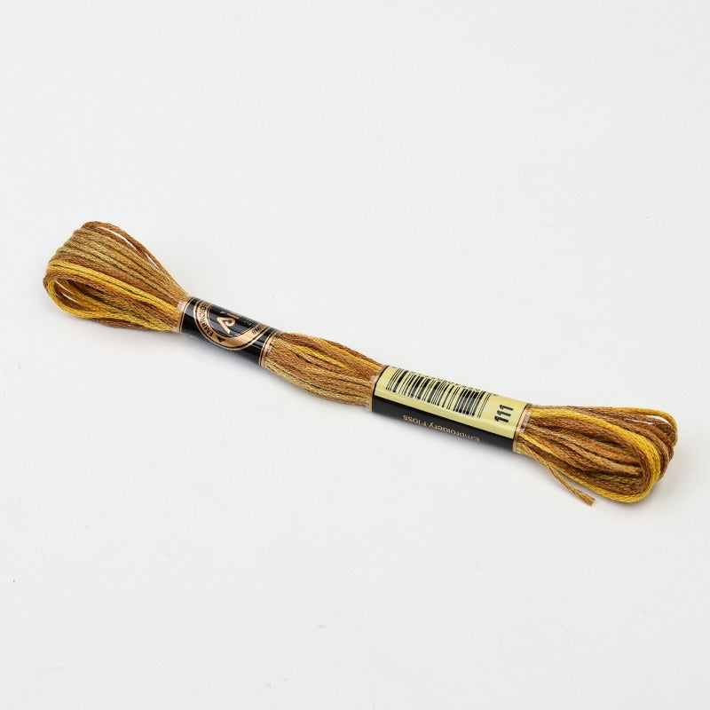 Gradient Variegated Embroidery Floss