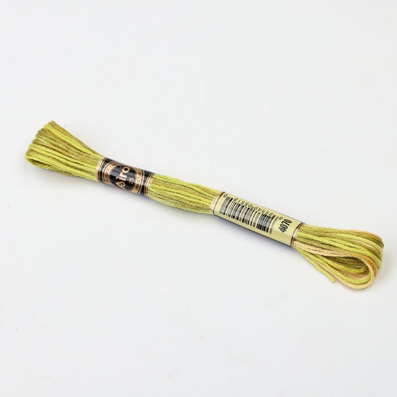 Gradient Variegated Embroidery Floss