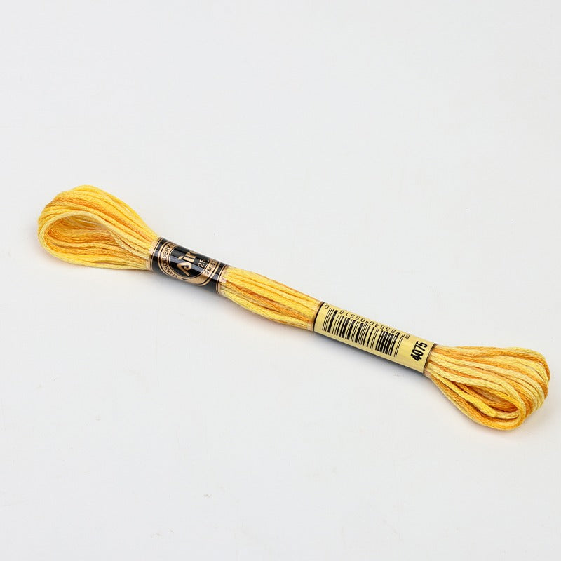 Gradient Variegated Embroidery Floss