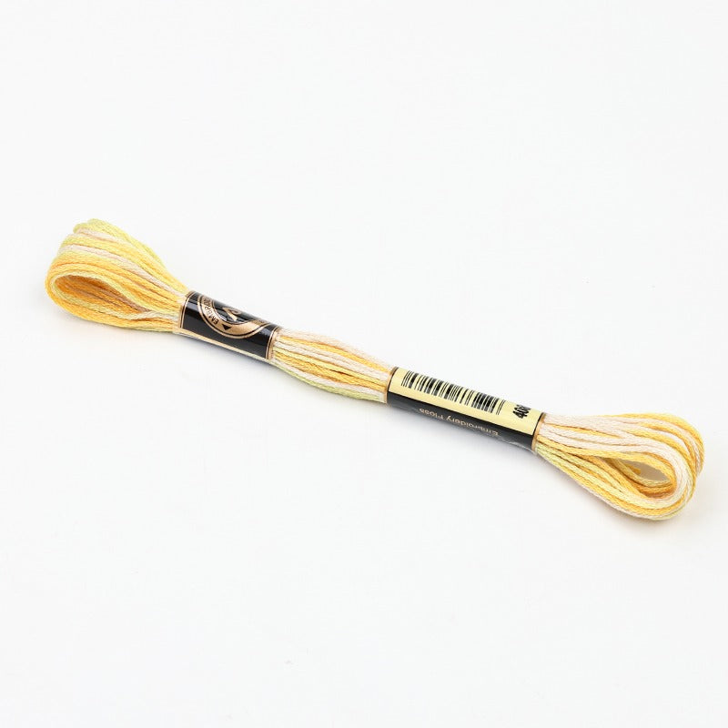 Gradient Variegated Embroidery Floss