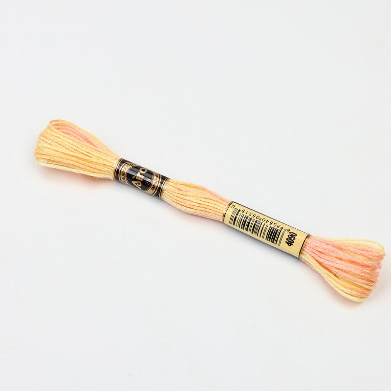 Gradient Variegated Embroidery Floss