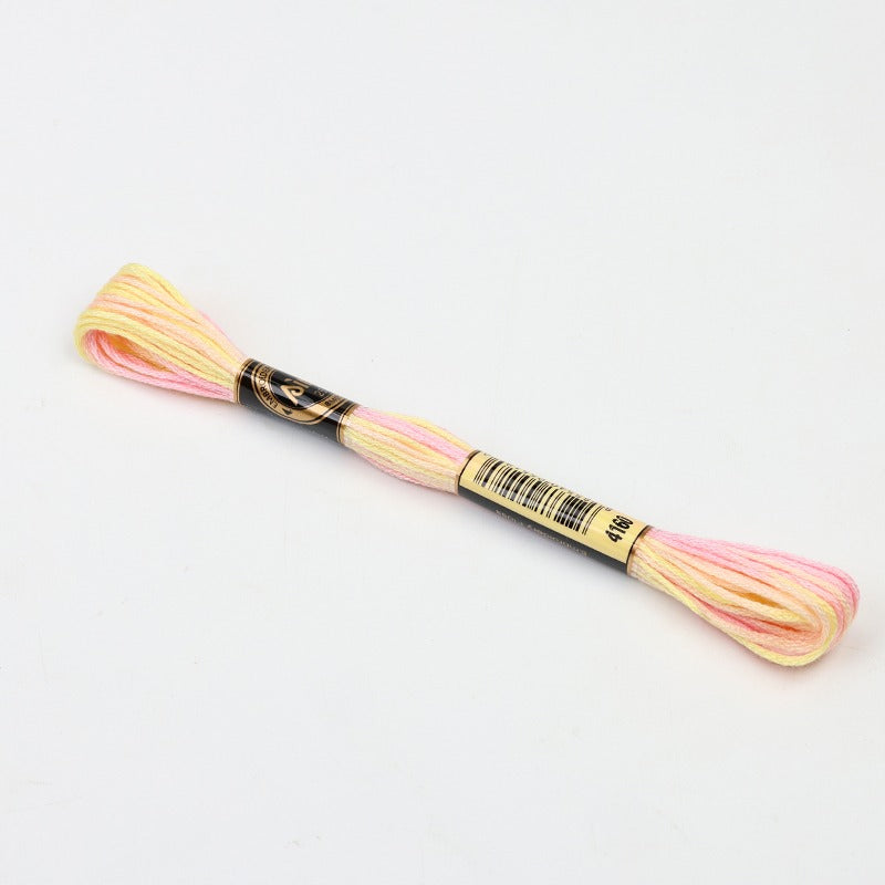 Gradient Variegated Embroidery Floss