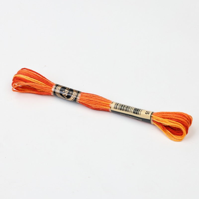 Gradient Variegated Embroidery Floss