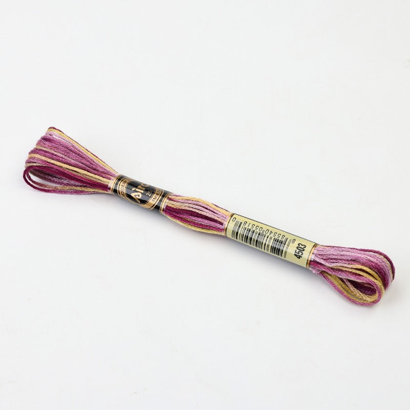 Gradient Variegated Embroidery Floss