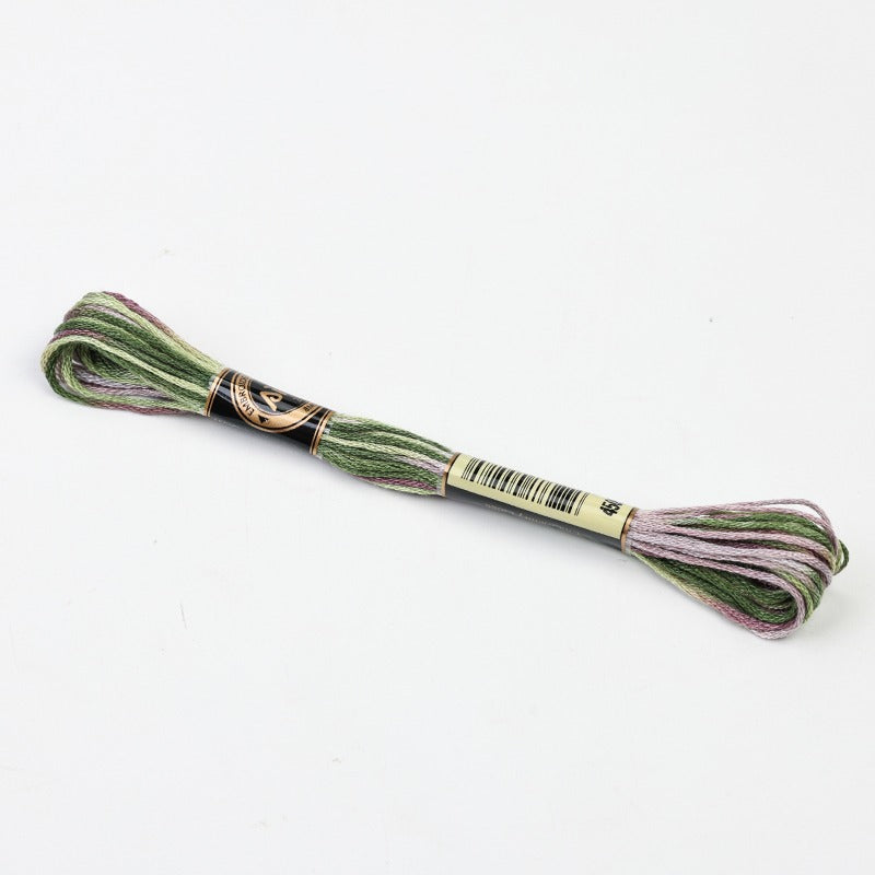 Gradient Variegated Embroidery Floss