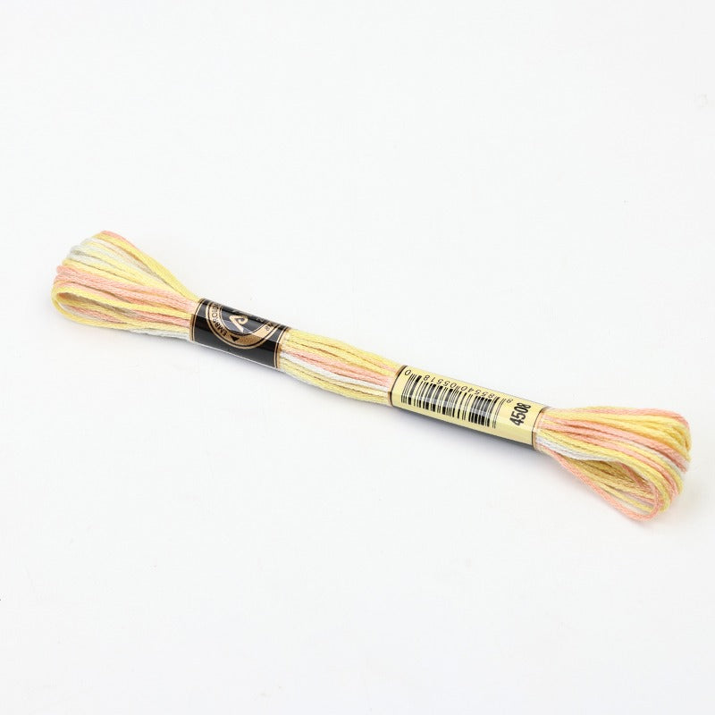 Gradient Variegated Embroidery Floss