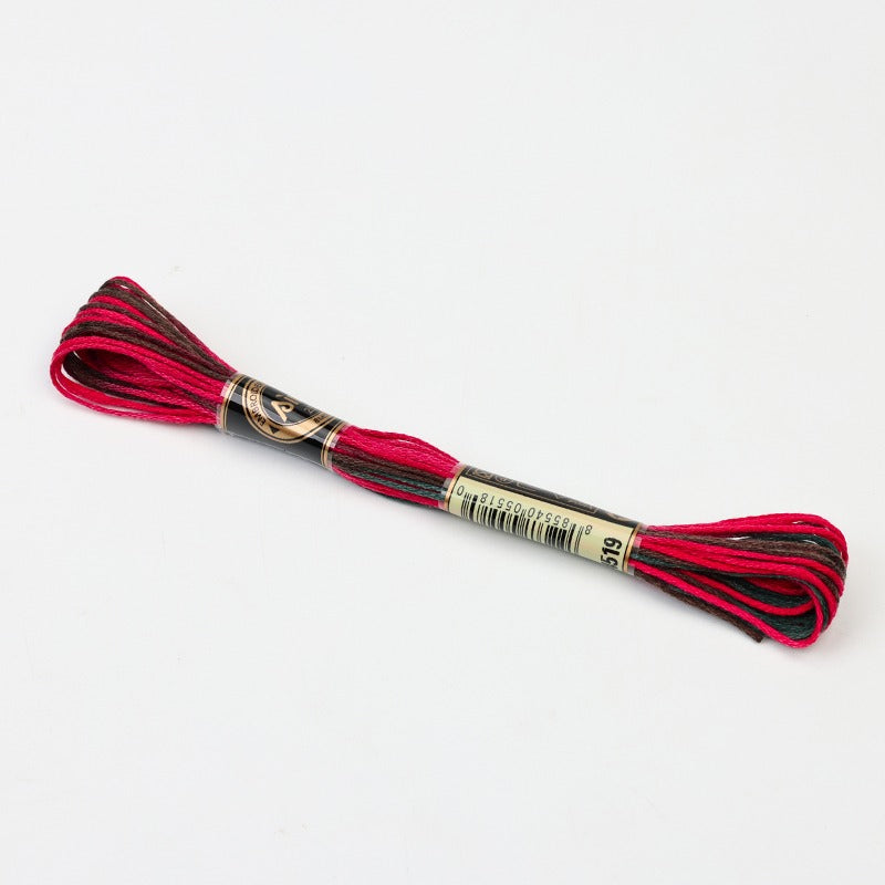 Gradient Variegated Embroidery Floss