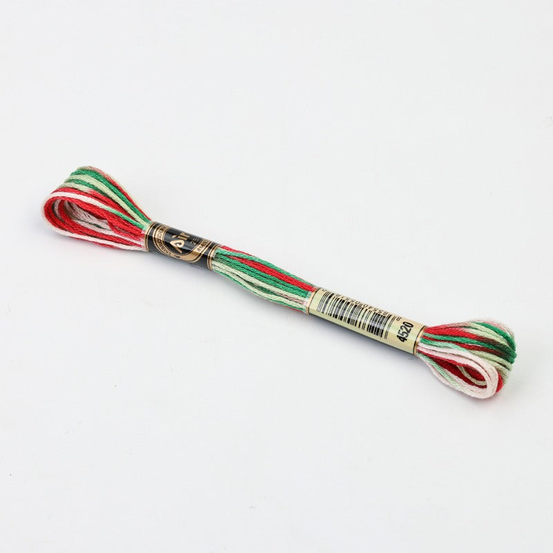 Gradient Variegated Embroidery Floss