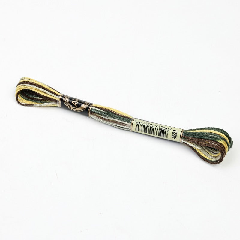 Gradient Variegated Embroidery Floss