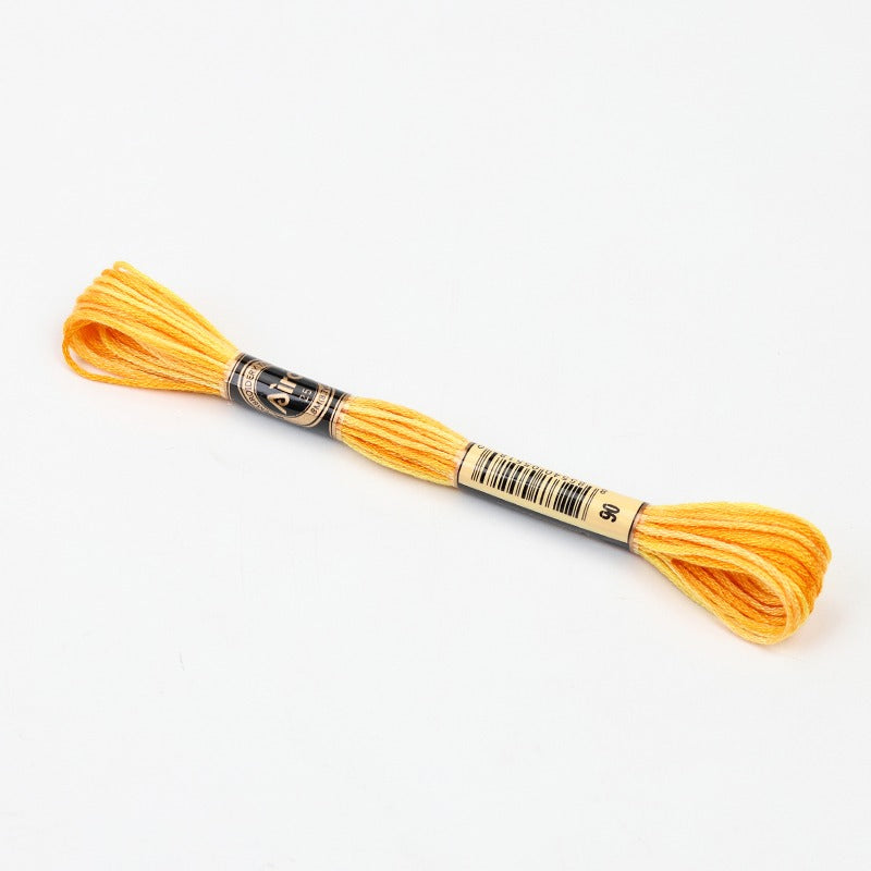 Gradient Variegated Embroidery Floss