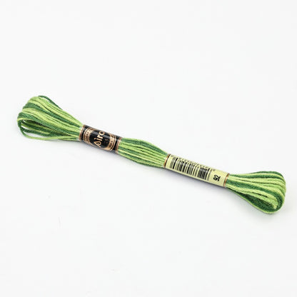 Gradient Variegated Embroidery Floss