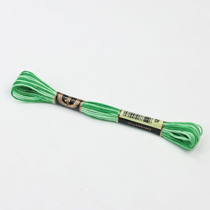 Gradient Variegated Embroidery Floss