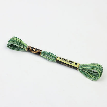 Gradient Variegated Embroidery Floss