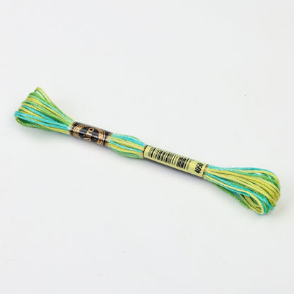 Gradient Variegated Embroidery Floss