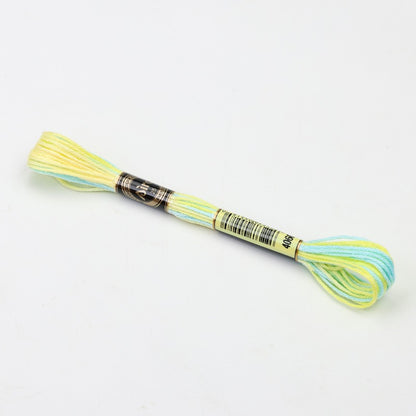 Gradient Variegated Embroidery Floss