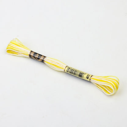 Gradient Variegated Embroidery Floss