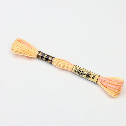 Gradient Variegated Embroidery Floss