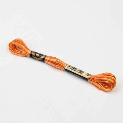 Gradient Variegated Embroidery Floss