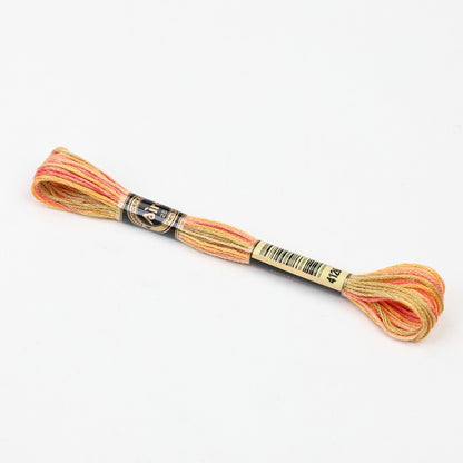 Gradient Variegated Embroidery Floss