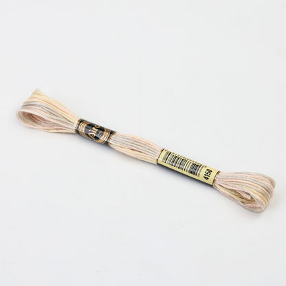 Gradient Variegated Embroidery Floss