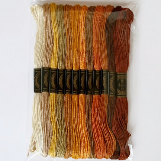 12 Skeins Brown Embroidery Thread Set