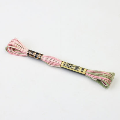 Gradient Variegated Embroidery Floss