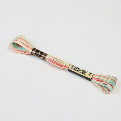 Gradient Variegated Embroidery Floss