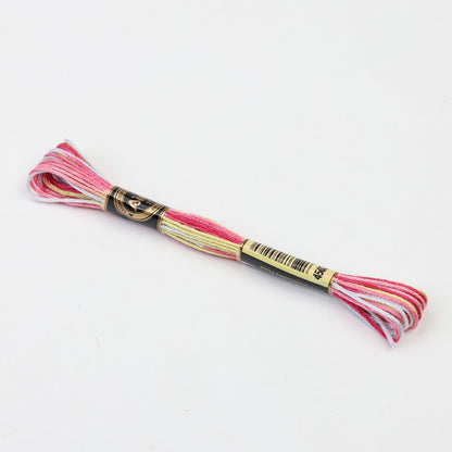 Gradient Variegated Embroidery Floss
