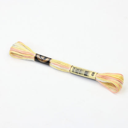 Gradient Variegated Embroidery Floss