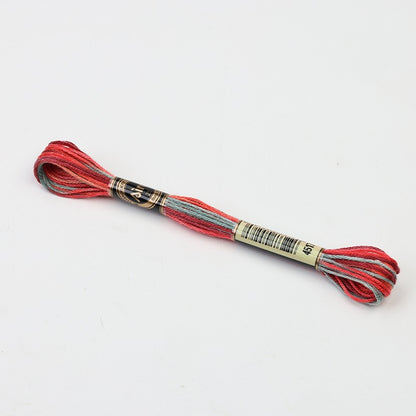 Gradient Variegated Embroidery Floss