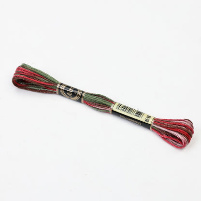 Gradient Variegated Embroidery Floss