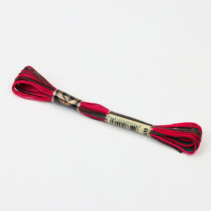 Gradient Variegated Embroidery Floss