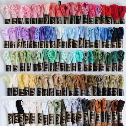 100-Color Embroidery Floss Set
